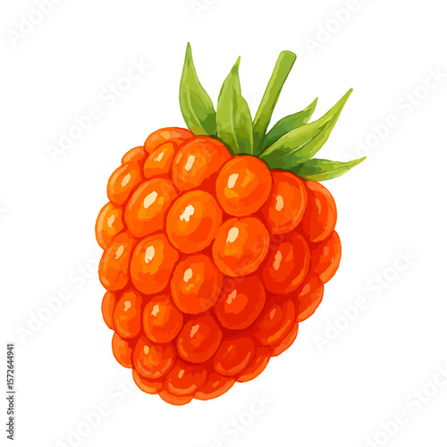 Salmonberry Fruit Vector with Green Leaves