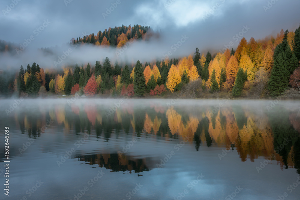 Fototapeta premium Colorful autumn trees reflect in the tranquil lake under a foggy sky