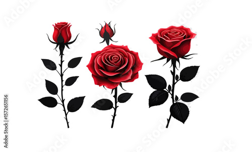 Three red roses with black stems and leaves on a white background art