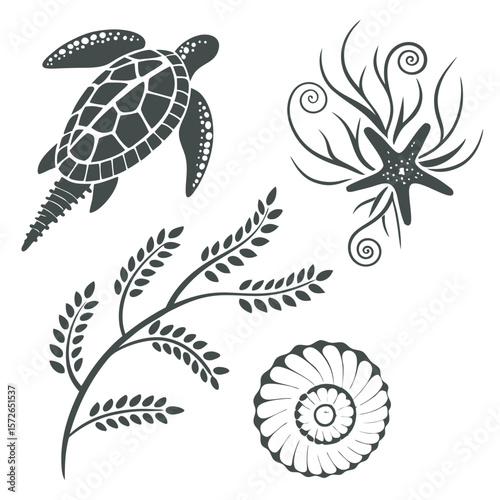 Sea Turtle Starfish Seaweed Floral Design Elements Gray White