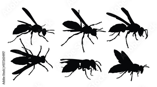 Set of wasp silhouettes. 
