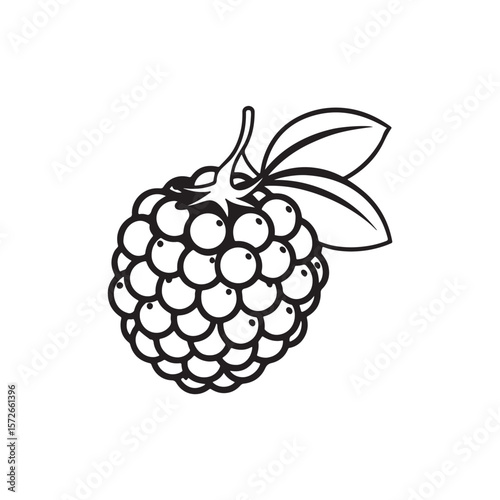 vector illustration of ripe raspberry