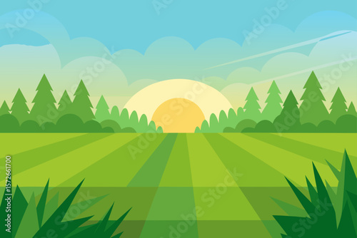 Green Grass Field With Soft Sunlight And Distant Mountains