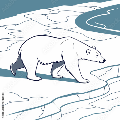 Wild mammal polar bear illustration on ice and snow