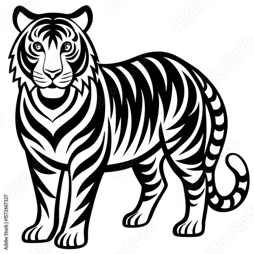 zebra vector illustration