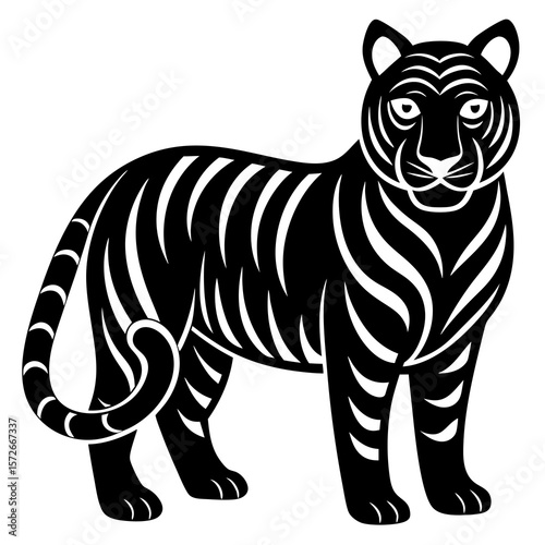 zebra vector illustration