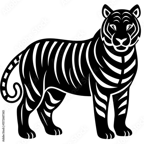zebra vector illustration