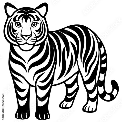 zebra vector illustration
