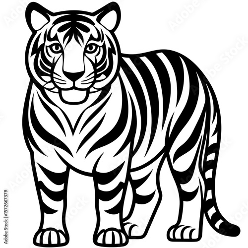 zebra vector illustration