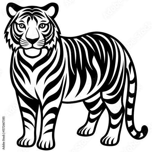 zebra vector illustration