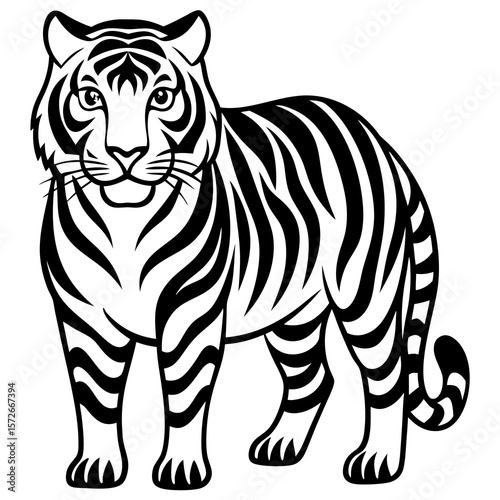 tiger vector illustration