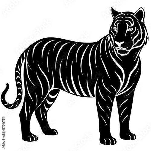 tiger vector illustration