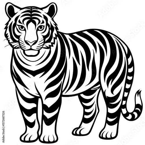 zebra vector illustration