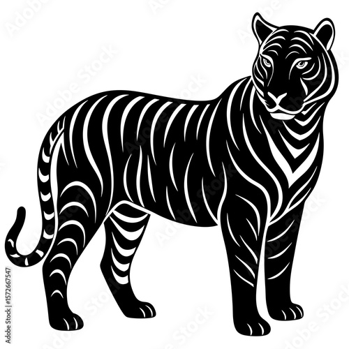 tiger vector illustration