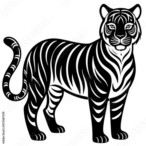 zebra vector illustration