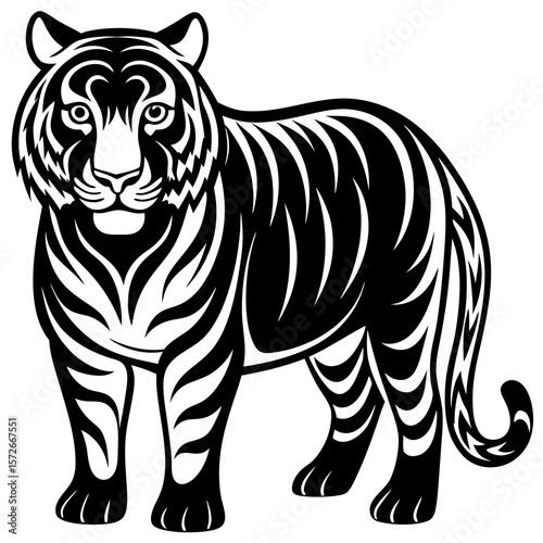vector illustration of a tiger