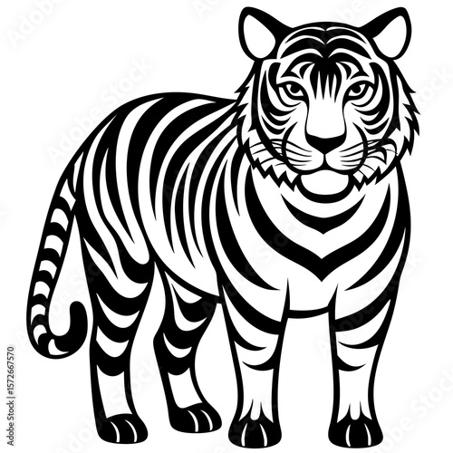 zebra vector illustration