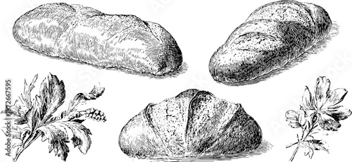 Vintage black and white engraving of bread and plants - retro design for bakery and culinary theme