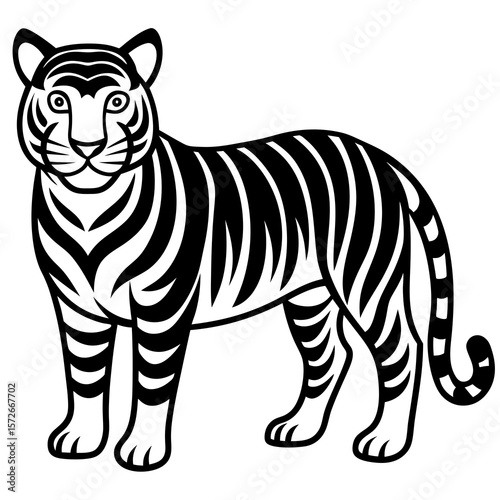 zebra vector illustration