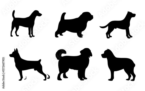 Vector set of different dog breed silhouettes on transparent background. Includes various canine shapes in side view. Perfect for pet-themed designs, icons, and infographics.