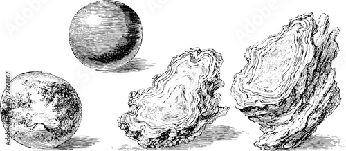 Vintage hand drawn engraving of geological minerals and rock textures for design inspiration