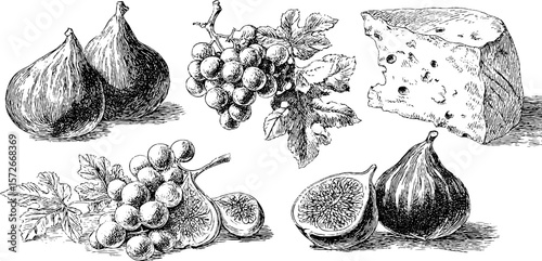 Vintage black and white engraving of cheese, grapes, and figs - hand drawn illustration for retro design
