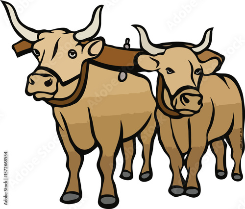 farm animal