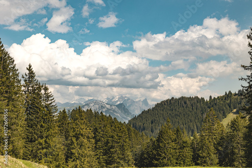 Trees, meadow, mountain in Switzerland, Canton St. Gallen, Swiss Alps, summer 2025. Sun and clouds, beautiful landscape. Hiking, tourism, travel destination, recreation.