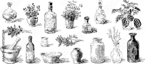 Vintage herbal apothecary collection: hand drawn glass bottles and herb sketches