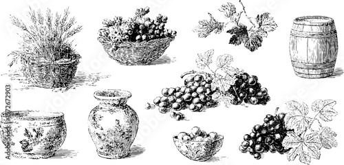 Vintage harvest collection: hand drawn black and white engravings of grapes, baskets, and vases