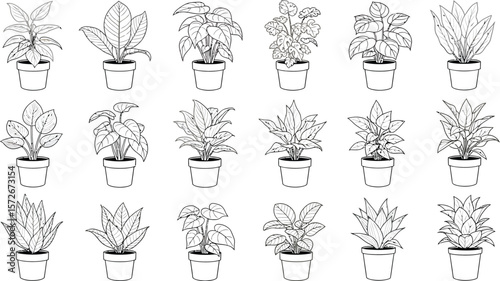 Collection of various potted houseplant illustrations in a clean line art style