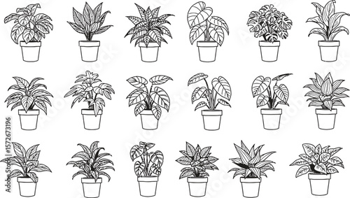 Collection of various potted houseplants in a simple line drawing style