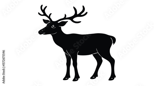 deer vector illustration