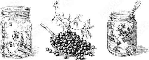 Black and white engraving of mustard jars and black currants for retro kitchen decor