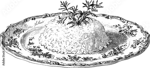 Vintage black and white engraving: elegant rice dish with herb garnish for culinary designs