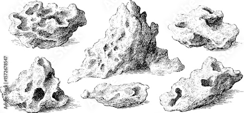 Vintage black and white engraving illustrations of sea coral rocks