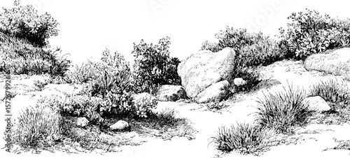 Black and white hand drawn tundra landscape sketch for nature-themed design