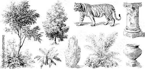 Vintage black and white engraving illustration set featuring trees, tiger, column, and vases