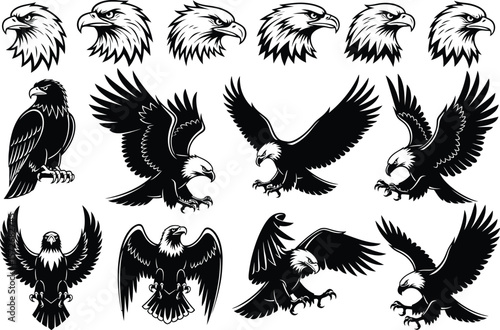 Collection of stylized eagle heads and full body eagles in flight and standing poses
