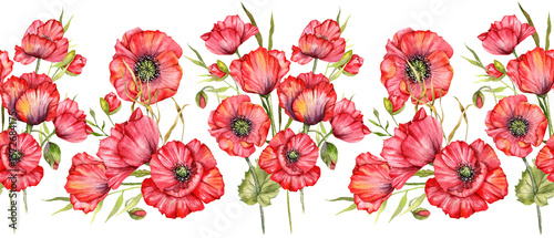 Seamless Poppy Garland with Flowers and Leaves. Botanical Seamless Horizontal  Background. Poppy Watercolor Illustration. Red Poppy Flower Design. Poppies garland seamless. Poppy Border Frame