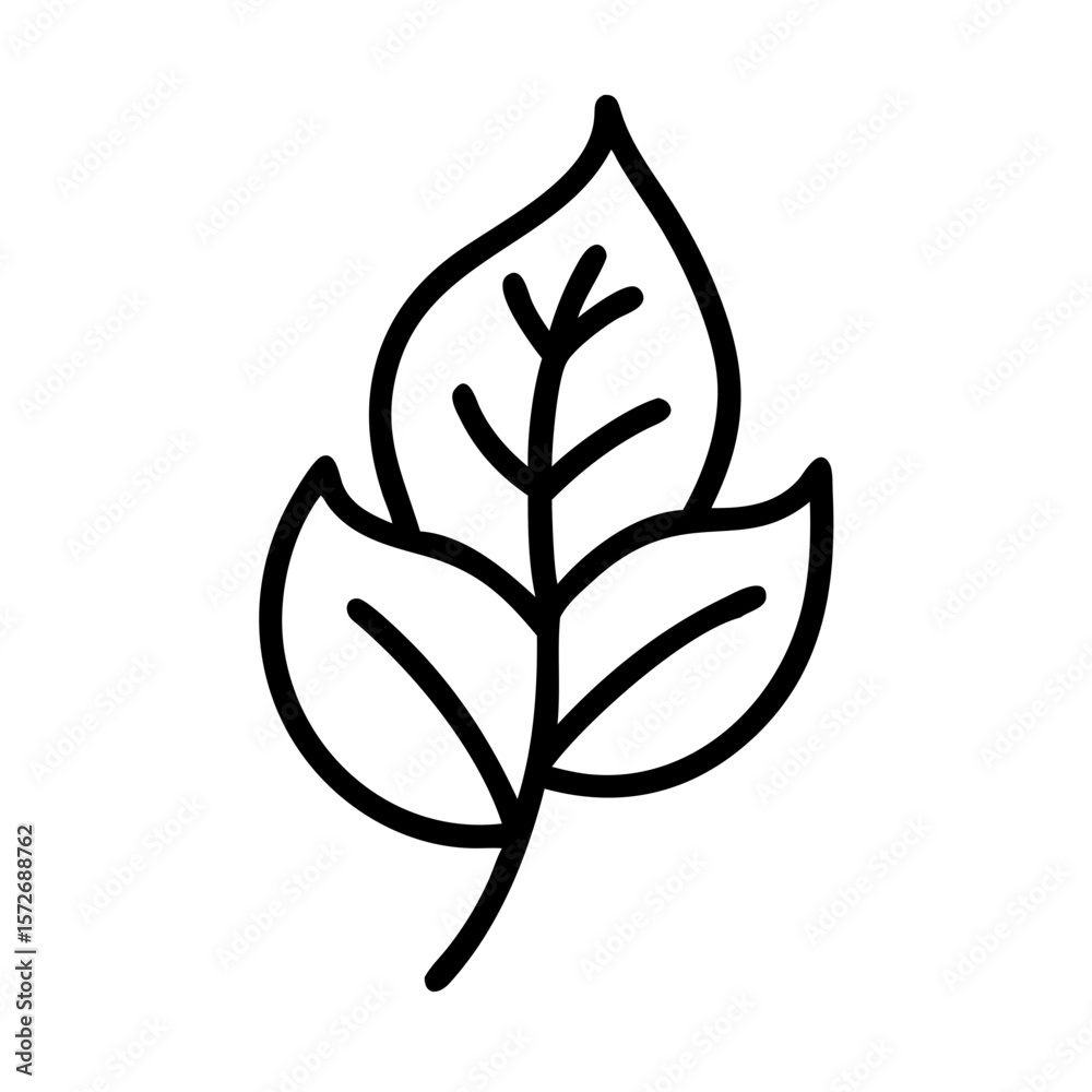 Obraz premium Leaf illustration in minimalist style with black outlines on white background 