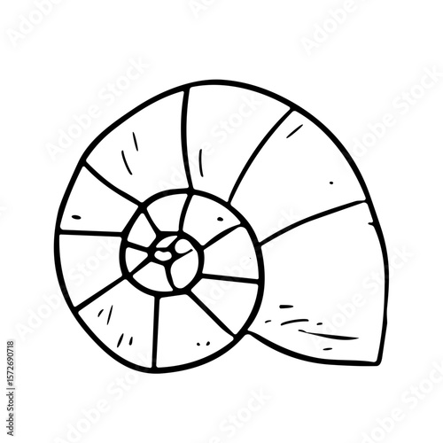 Doodle sketch vector illustration of a nautilus shell on transparent background for marine life and coastal design