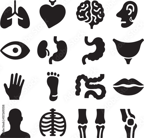 Vector art of a set of black human organ icons on transparent background
