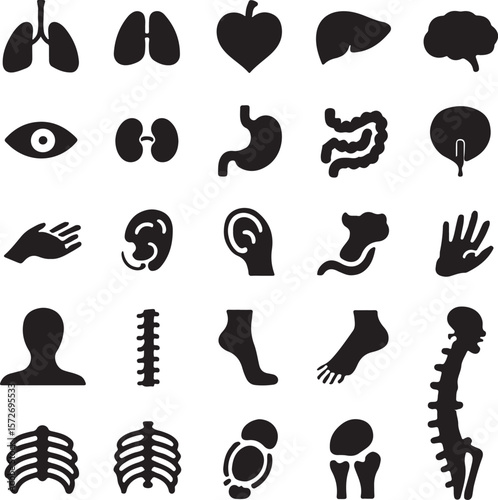Vector art of a comprehensive set of human organ icons isolated on transparent background