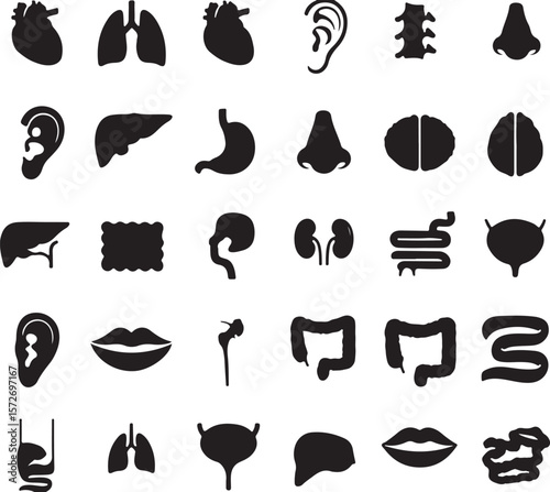 Collection of human anatomy organ silhouettes isolated on transparent background