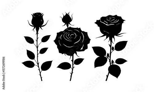A monochrome depiction of three roses with varying bloom stages shown
