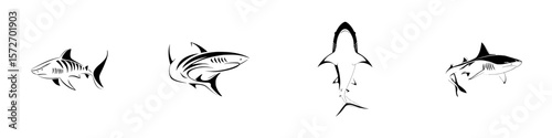Silhouette pictograms of various shark species for educational and design purposes