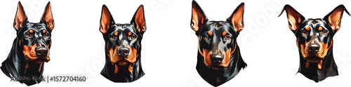 A set of Dobermann Dog Faces Clipart, Different types flat vector illustration.