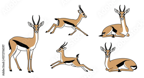 Chinkara antelopes in various poses illustrating movement and behavior  