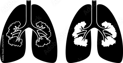 broccoli in lung silhouette isolated.eps